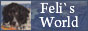 banner_feli_88_1.jpg