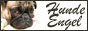 banner_hundeengel_88.jpg